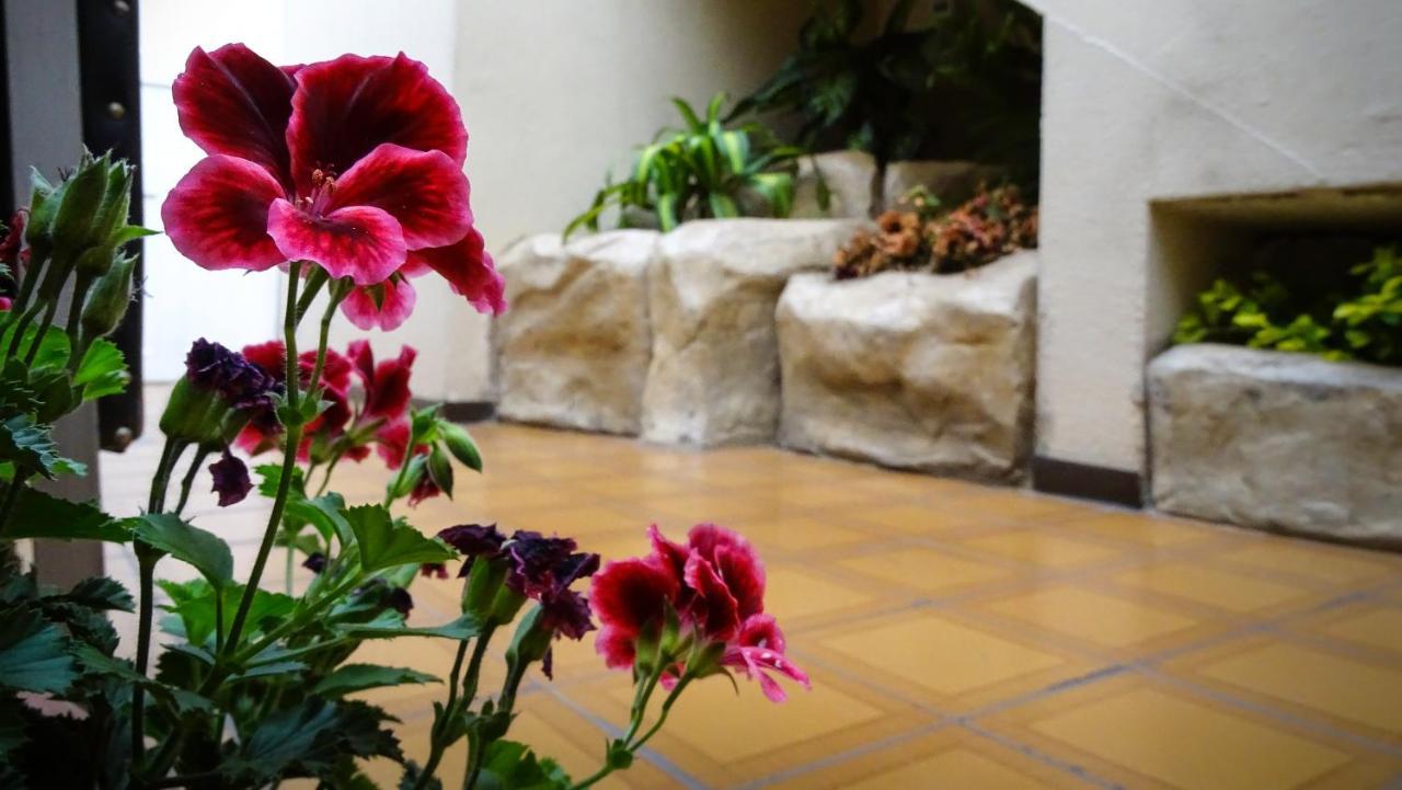 Hotel Mariscal Inn & Suite Cuenca Buitenkant foto